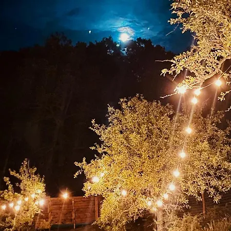 Aura - Glamping Experience