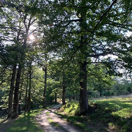 Aura - Glamping Experience Accettura