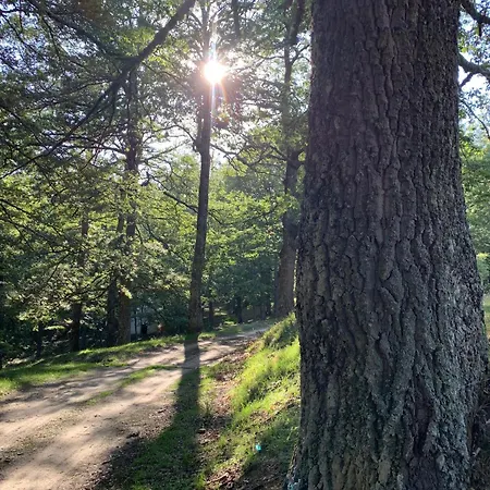 Aura - Glamping Experience Glamping Accettura