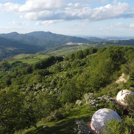 Aura - Glamping Experience *