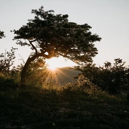 Aura - Glamping Experience 럭셔리텐트 Accettura