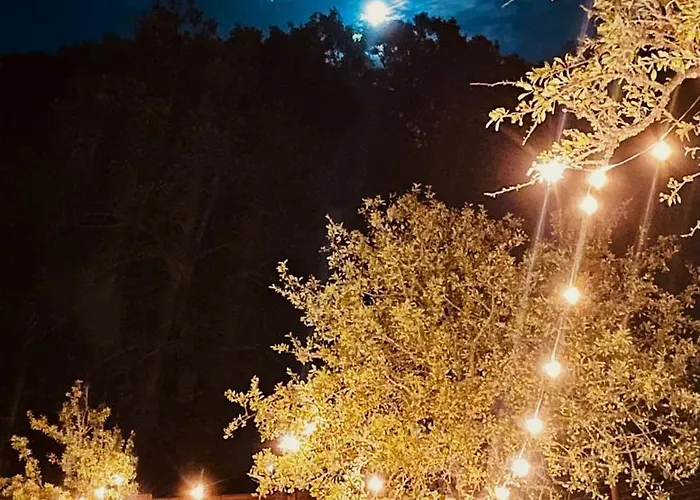 Aura - Glamping Experience