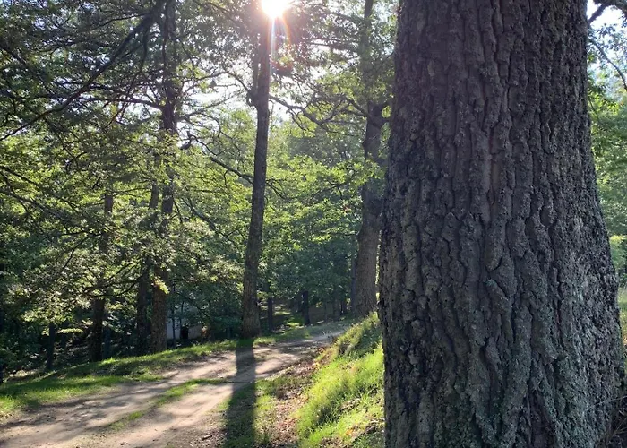 Aura - Glamping Experience Glamping Accettura