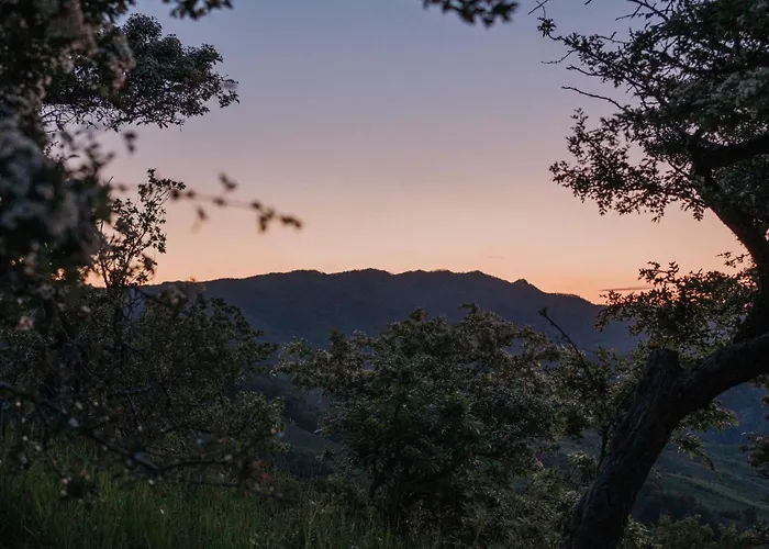 Aura - Glamping Experience * Accettura